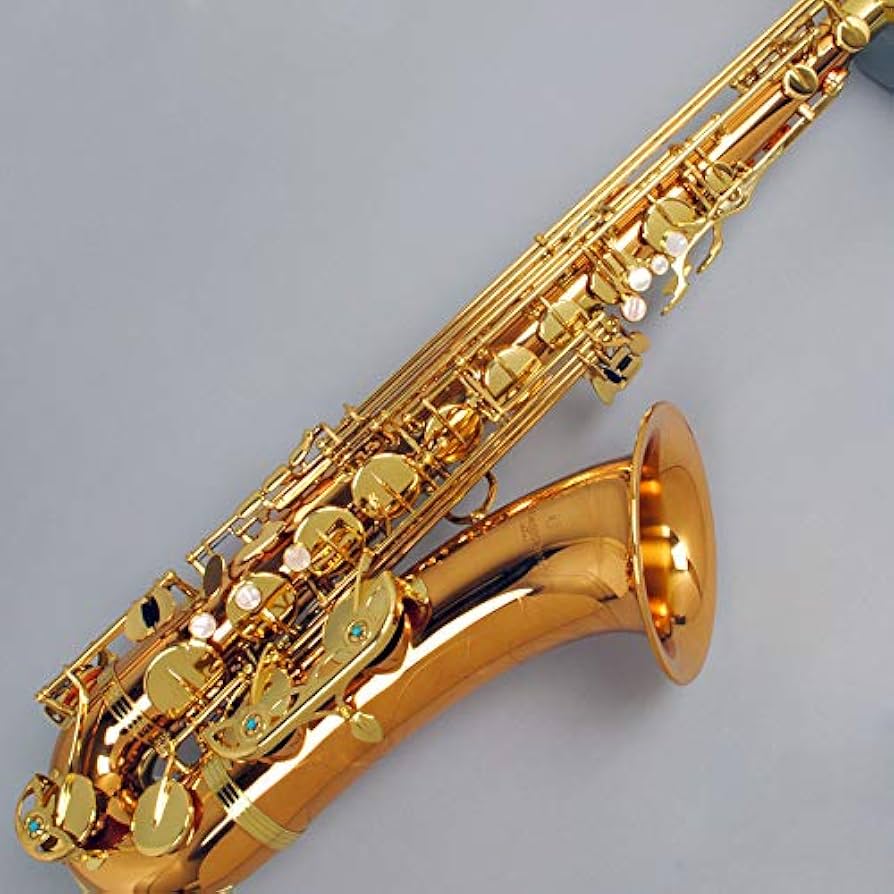 【美品】ヤナギサワ テナーサックス T-WO2 ラッカー仕上Yanagisawa Yanagisawa T-WO20 テナーサックス 【ラッカー仕上げ